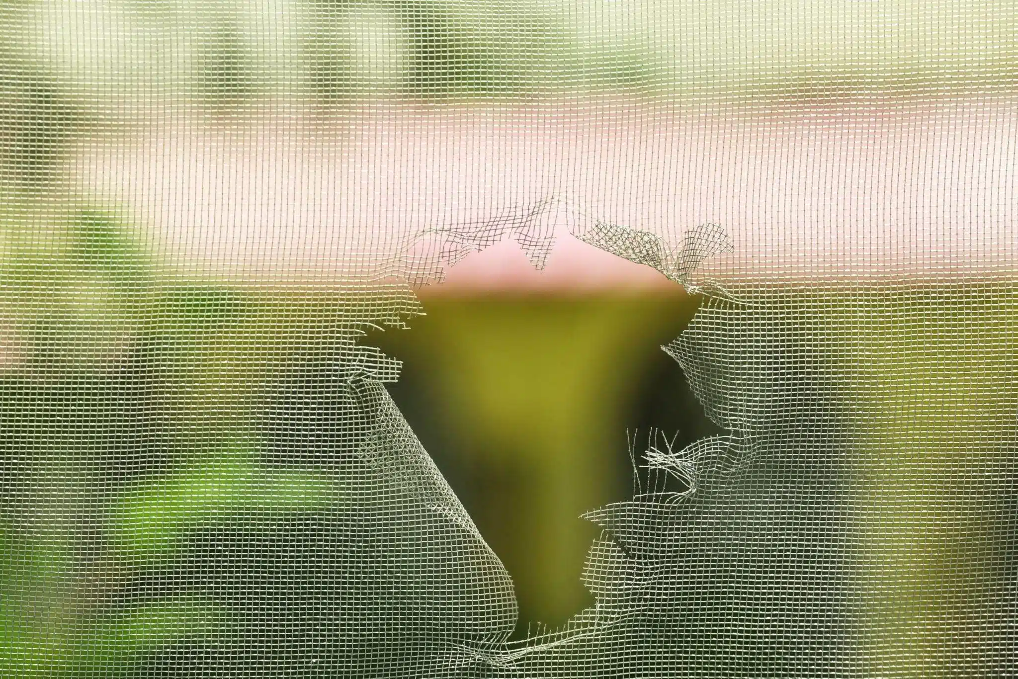 Torn Porch Screening